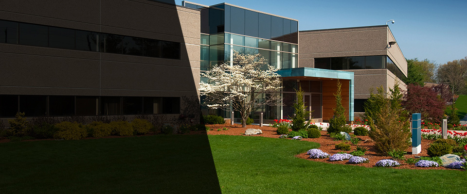 Cliffside Park Landscapers