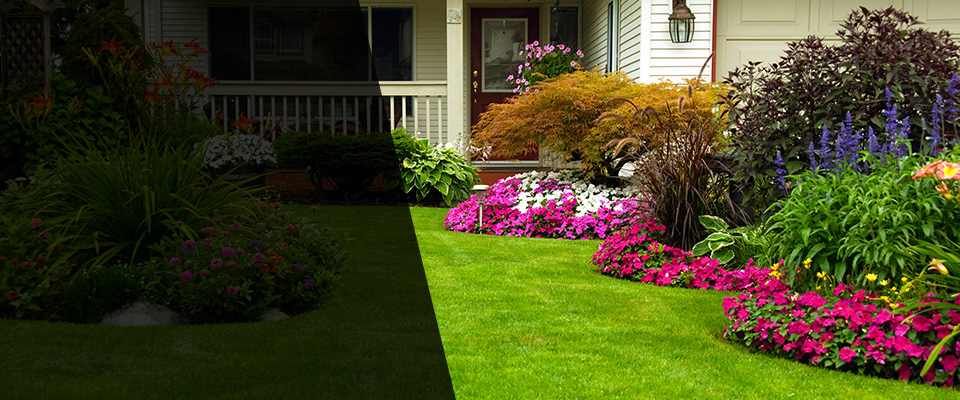 Cliffside Park Landscapers