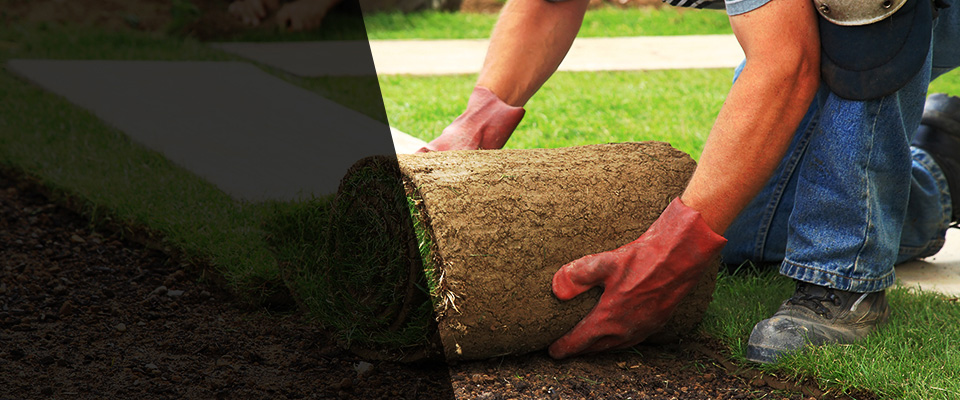 Cliffside Park Landscapers